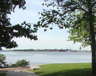 Tree framed image taken near the water's edge of Canton Waterfront Park looking across the harbor towards Fort McHenry, Baltimore MD